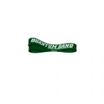 13 Inch Green Dynamic Stabilizer Band